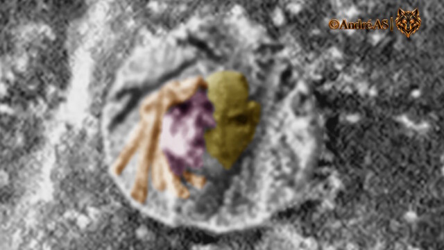 Spirit — Sol 1434 — image source NASA/JPL-Caltech.
<a href="https://an.rsl.wustl.edu/mera/AN/an3.aspx?it=B1&ii=2M253668740IFFAX05P2956M2F2" target="_blank" rel="noopener">Accéder à la source d’origine</a> Spirit Sol 1434 — colorisation interprétative d’une formation évoquant un ancien médaillon à deux visages
